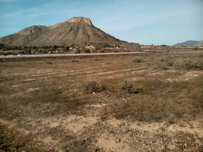 Venta Terreno en La Ofra Aspe 20800m2