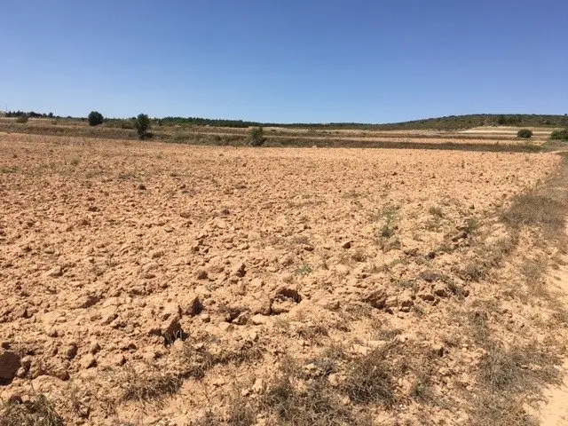Venta Terreno San Anton Almansa Ref 02975