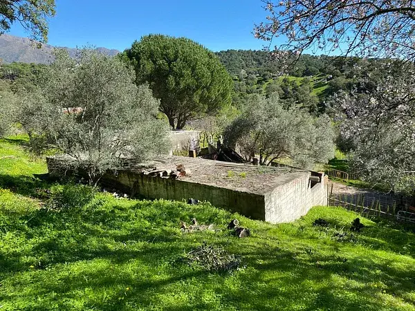 Finca Rústica en Casares Málaga 273 hectáreas