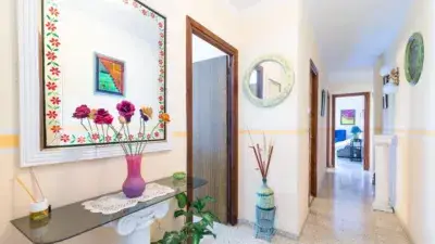 Piso en venta en Albolote 3 dormitorios gran salón balcón reformable