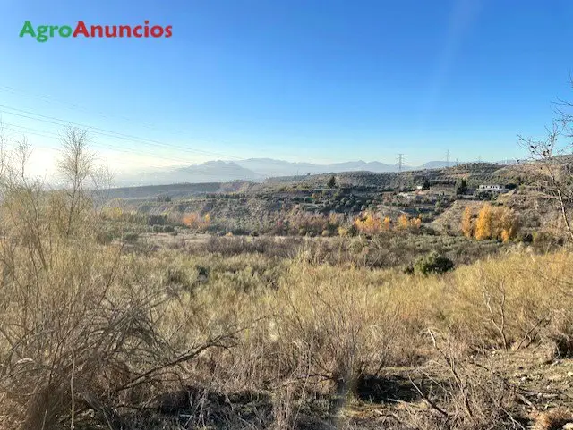 Venta  de Finca rústica en Granada