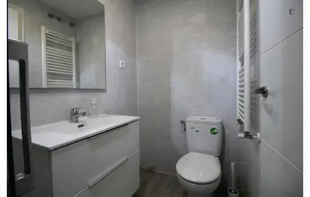 Alquiler Apartamento 1 Dormitorio Madrid