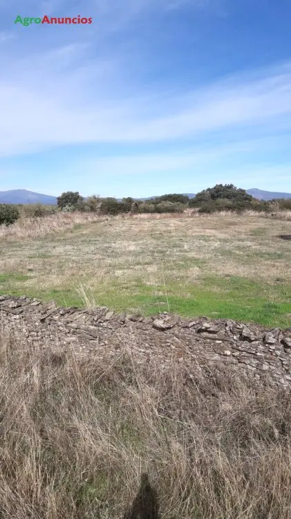 Venta  de Terreno de secano en Cáceres