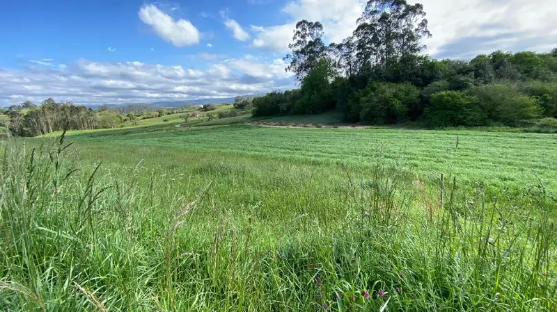 Venta Terreno Sejo de Abajo Valdáliga Finca Rústica