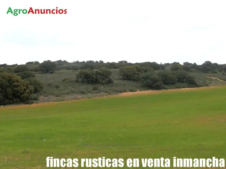 Venta  de Finca rustica de labor y monte en Ciudad Real