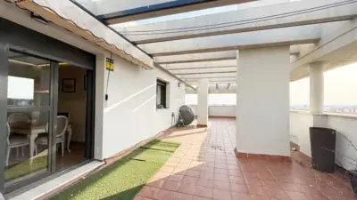 Ático en Alquiler Mairena del Aljarafe Nuevo Bulevar