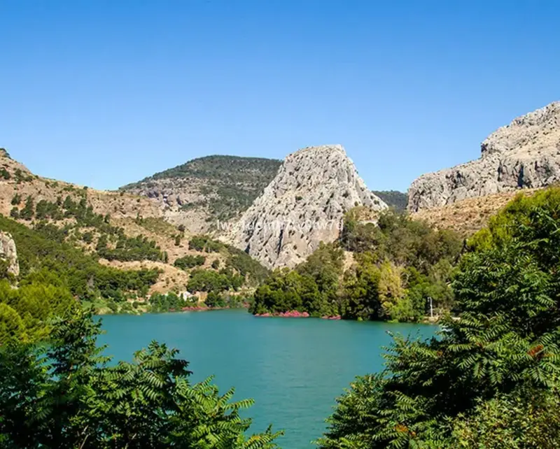 Terreno en Venta Malaga: 503m2, 300m2 Edificables, Cerca Playa y Centro