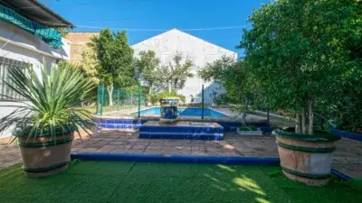 Chalet en Venta Montecarmelo 3 Dormitorios Jardin Piscina