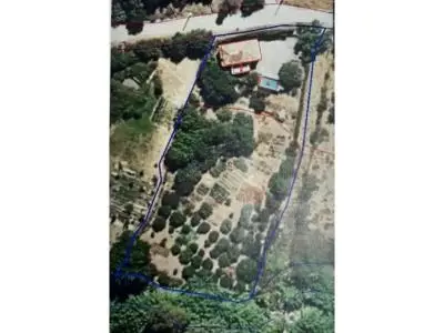 Finca Rustica en Arroyo de Polvitos Estepona