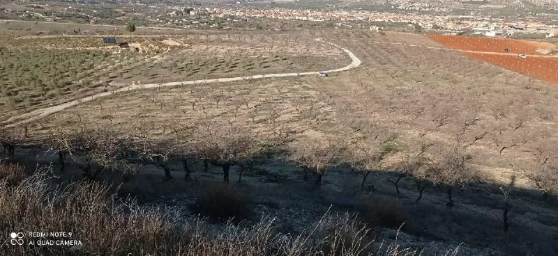 Venta Terreno en Dúrcal 11722m2 con Almendros