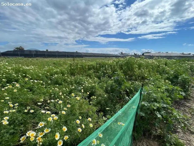 Terreno Rustico en Venta en Sanlúcar de Barrameda