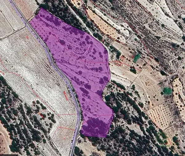 Parcela Rustica Monovar 258ha Agua de Riego