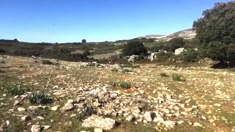 Terreno en Venta Ronda 274 Hectareas Ideal Ganaderia Energia Renovable