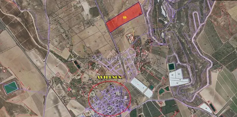 Parcela Rustica en Venta Avileses Murcia 80000m2 Proyecto Campers