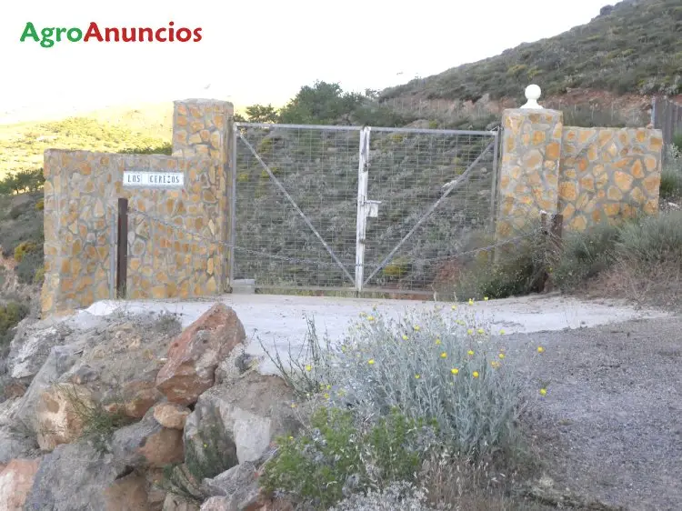 Venta  de Finca de frutales con cortijo en Almería