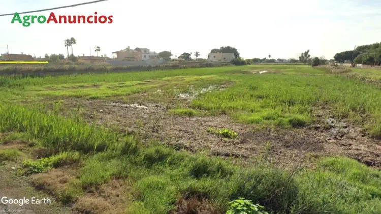 Finca Rustica de Regadio en Castellon