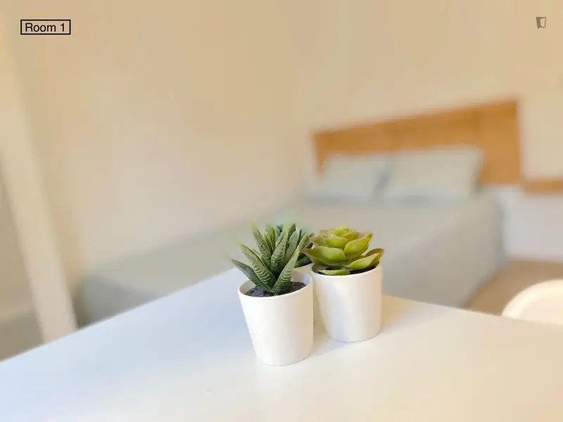 Habitacion Soleada con Cama Doble TV y WIFI Cerca del Centro