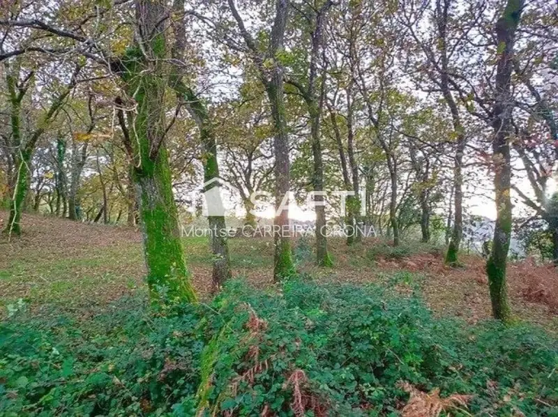 Finca Rustica con Casa en A Estrada para Turismo Rural
