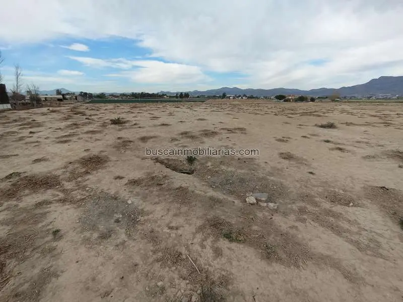 Parcela Rustica en Venta Lorca 5000m2