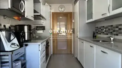 Alquiler Piso 3 Dormitorios Txingurri Pasealekua Garaje