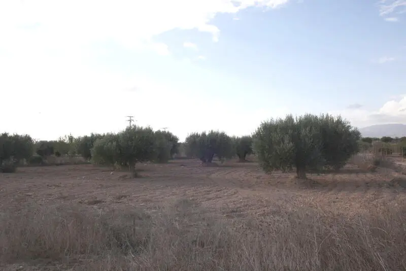 Local Comercial en Venta Cuevas de Reyllo Murcia