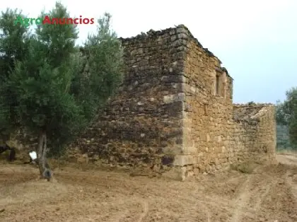 Venta  de Terreno con olivos, almendros y viñas en Tarragona