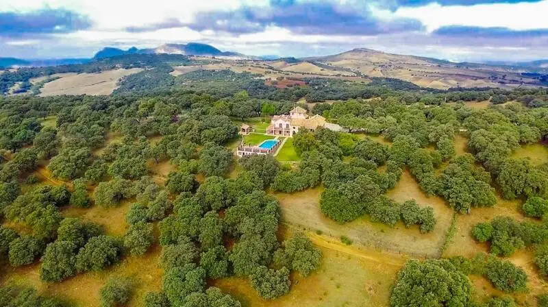 Finca de Lujo en Ronda con Viñedos y Casas de Invitados