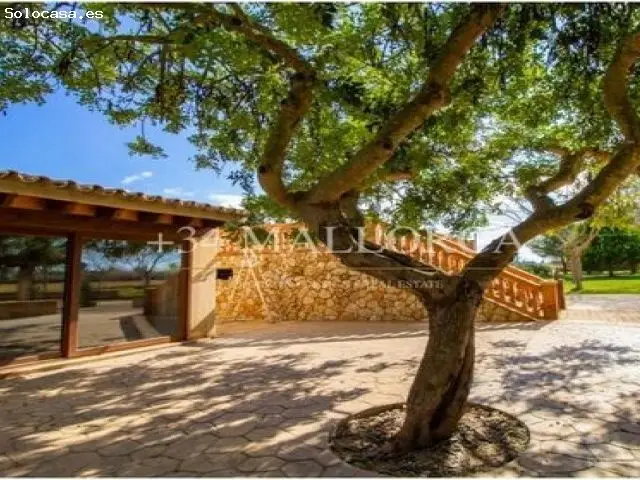 Finca Rustica en Venta Santa Eugenia Mallorca