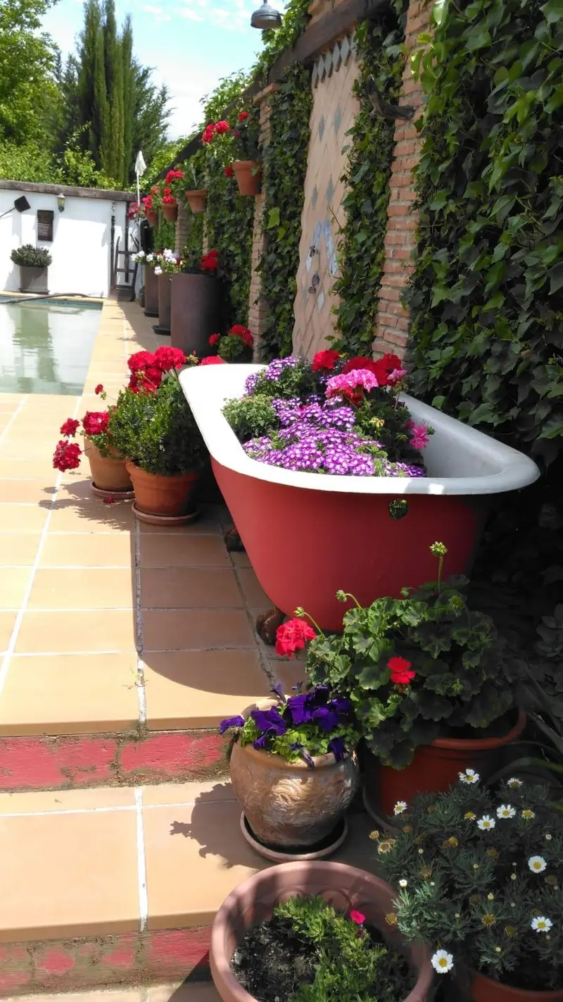 Cortijo con dos casas, piscina y terraza en Chauchina