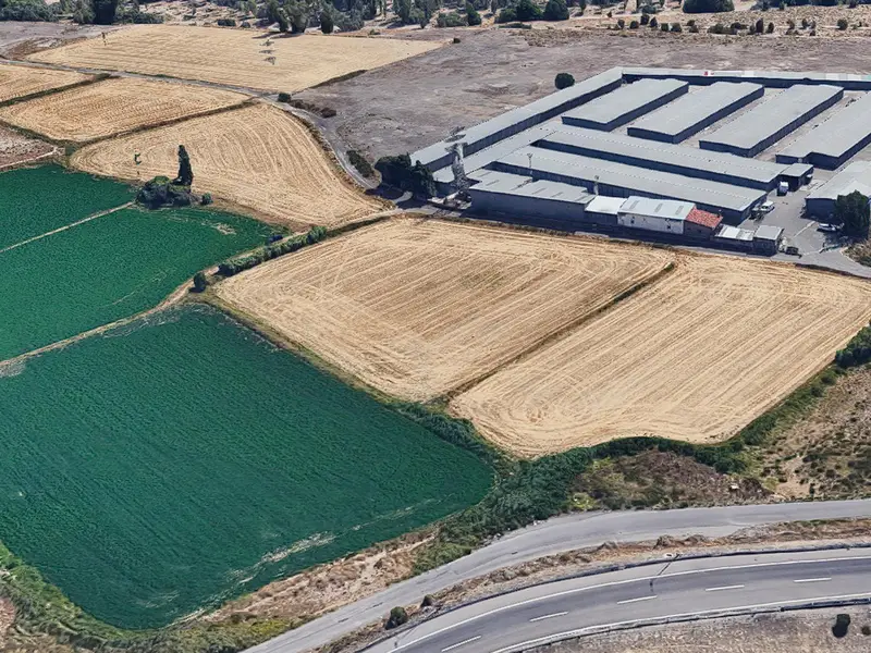 Venta Terreno Agricola Cogullada Zaragoza 5624m2