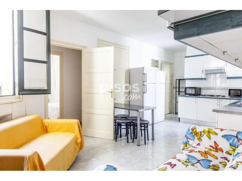 Habitacion Privada Malasaña Madrid Estudiantes Profesionales