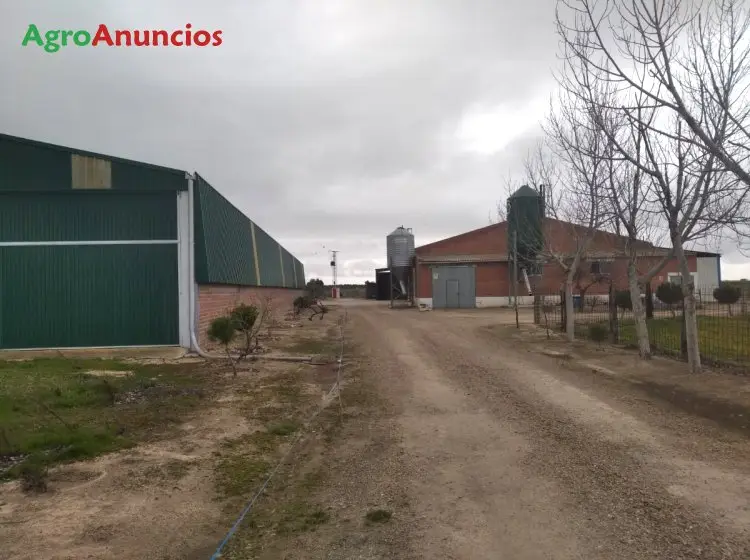 Alquiler  de Naves agrícolas y ganaderas en Valladolid