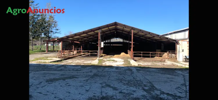 Alquiler  de Nave ganadera en Navarra