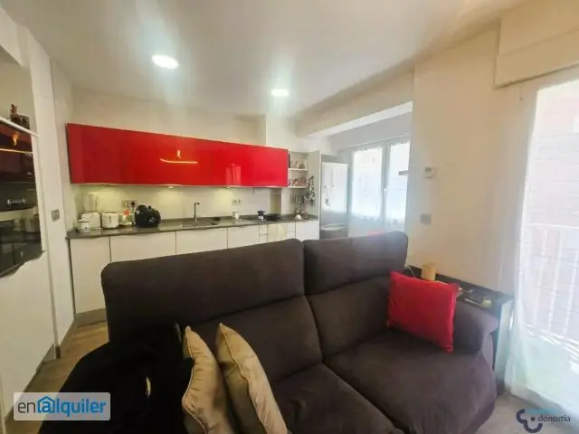 Alquiler Temporal Apartamento Egia Donostia 1 Dormitorio
