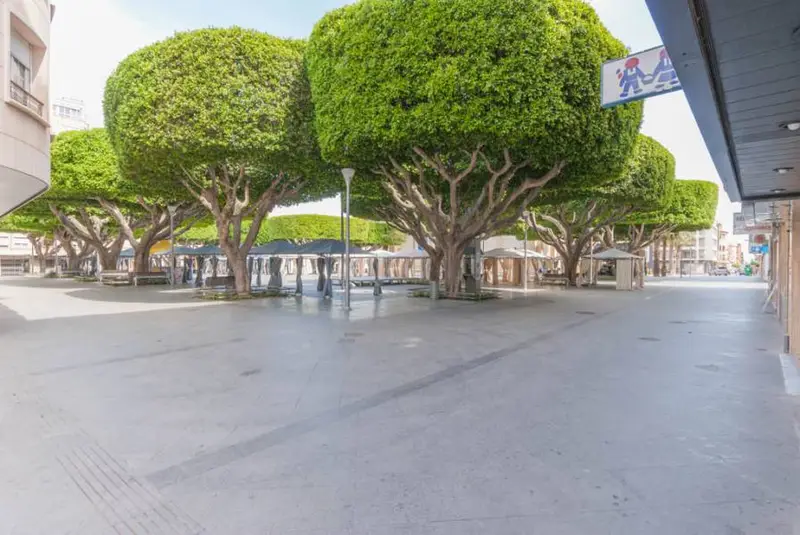 Venta Local Comercial Almoradi