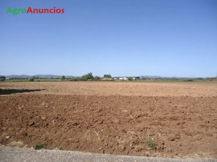 Venta  de Finca de regadío en Cáceres