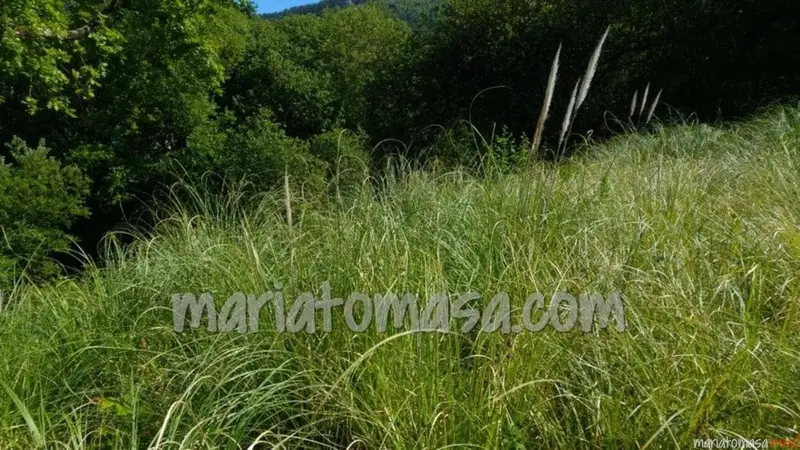 Terreno en Venta Mungia 1887m2 Cerca Centro Civico