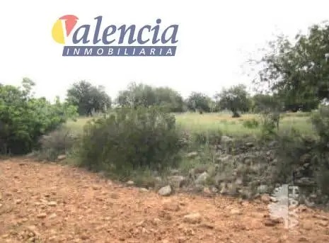 Venta Solar Cheste - Ref 1000768