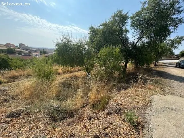 Parcela en Venta Valdepenas de la Sierra Guadalajara