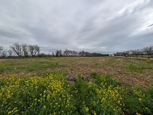 Terreno Rustico Llano en Cuesta la Palma Loja 10000m2