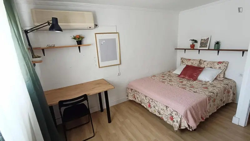 Habitacion luminosa para estudiante Erasmus amantes de gatos