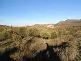 Venta  de Finca de secano en Zaragoza