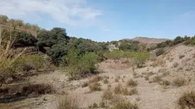 Finca Rustica en Venta Andalucia 110000m2 Almendros Olivos