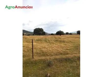 Finca Ganadera 8 Hectareas Badajoz