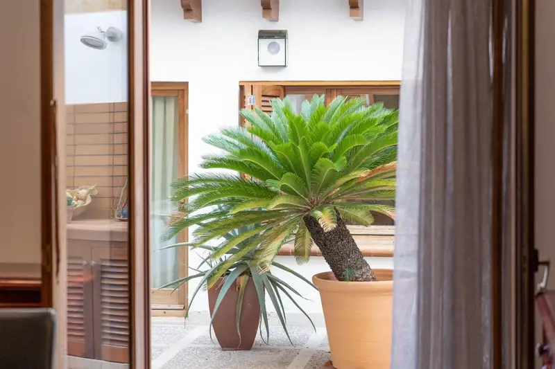 Chalet en venta en Llucmajor Mallorca