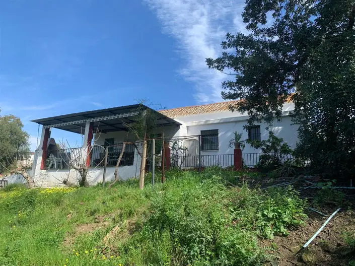 Finca Rustica en Venta Mijas Almarchar 19200m2