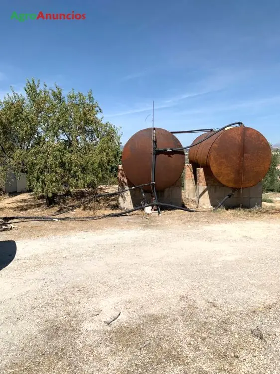 Venta  de Finca de olivos de regadio en Granada