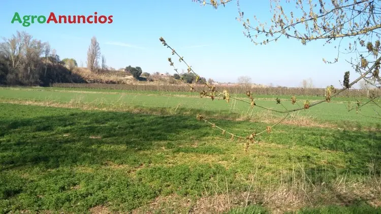 Compra  de Finca de regadío de más de 250 hectáreas en Badajoz