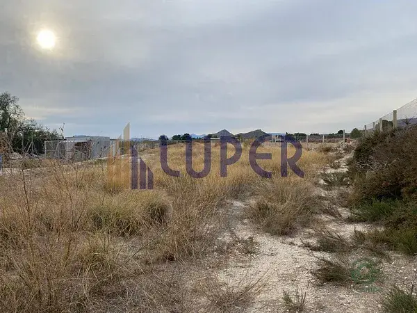 Terreno en Agost 6000m2 con Agua de Regadío