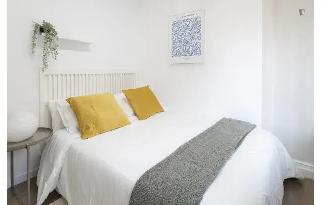 Alquiler piso 6 habitaciones Alicante